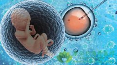 在国内代孕和试管婴儿从科学角度分析有哪些区别？适合那些人群？