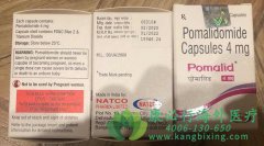 Ȱ/Ȱ(POMALIDOMID)εĶ