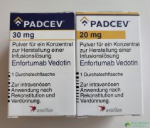 恩诺单抗(Padcev/Enfortumab)治疗尿路上皮