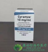 雷莫卢单抗(RAMUCIRUMAB/CYRAMZA)是用于晚期胃癌二线治疗的靶向药物？