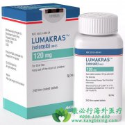 (Lumakras/Sotorasib/AMG510)