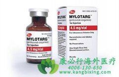 ׵/鵥(Mylotarg/Gemtuzumab)Ƽ԰ѪߵЧ