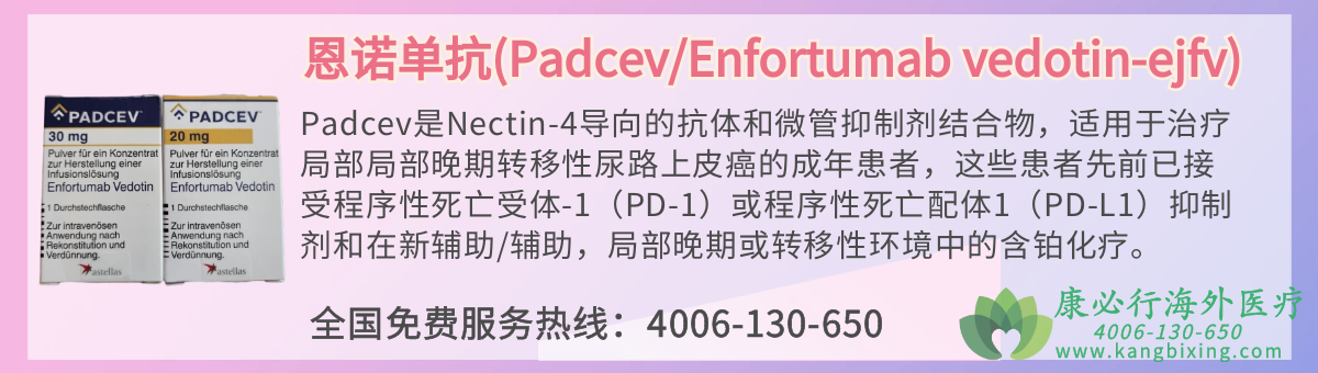 ŵ(Padcev/Enfortumab vedotin-ejfv)