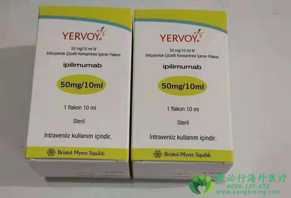 ƥľ(YERVOY/PEMBROLIZUMAB)ںɫΣ