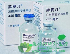͡/鵥(HERTRAZ)ǵһHER-2Ϊеİҩ