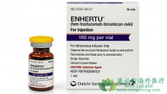 ϲ鵥/źյ(ENHERTU/DS-8201)ӳHER2ͱתٰڣ