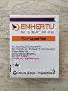 ϲ鵥/³濵(Enhertu/DS-8201)ҪЩ