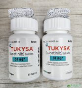 图卡替尼/妥卡替尼(TUKYSA/TUCATINIB)治疗H