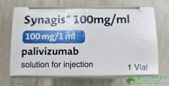鵥/(Synagis/Palivizumab)ƶƺϰȾЧò