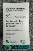 卢比卡丁/鲁比卡丁(ZEPZELCA/LURBINECTEDIN)为小细胞肺癌的治疗提供了新的选择