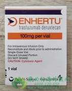 źյ/ϲ鵥(ENHERTU)תԽֱܹЧӳߵڣ