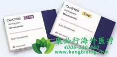 귥̩/߿̹(Camzyos/Mavacamten)ɸƷʺļ˶