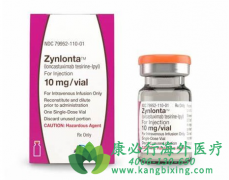 (ZYNLONTA/LONCASTUXIMAB)ϻ