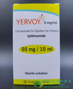 ƥľ(YERVOY/PEMBROLIZUMAB)ڶĤƤеЧ