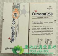 /(CRIZOTINIB)ŻߵķСϸΰǿЧ