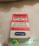 รΤ/Τ(CIDOFOVIR) ư׷Ч