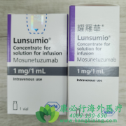 Ī鵥(LUNSUMIO/MOSUNETUZUMAB-AXGB)İȫ