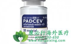 ŵ/άȵ(PADCEV)·ƤЧ