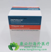 ³ȿ/¬ȿ涨(ZEPZELCA) SCLCչֳЧ