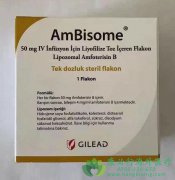 /(AmBisome)ǶԿȾ