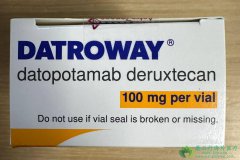 ׿/´ﲩ׵(DS-1062)ǹTROP2