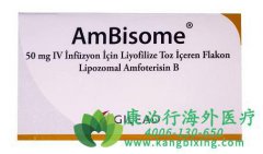 安必松/安必素(AMBISOME)是免疫缺陷患者侵袭性真菌感染防治的重要进展