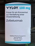 佐妥昔单抗(VYLOY/ZOLBETUXIMAB)联合方案为
