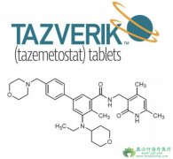 达唯珂/他泽司他(TAZEMETOSTAT)重塑滤泡性