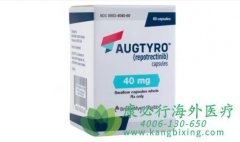 瑞波替尼/洛普替尼(REPOTRECTINIB)为特定肺