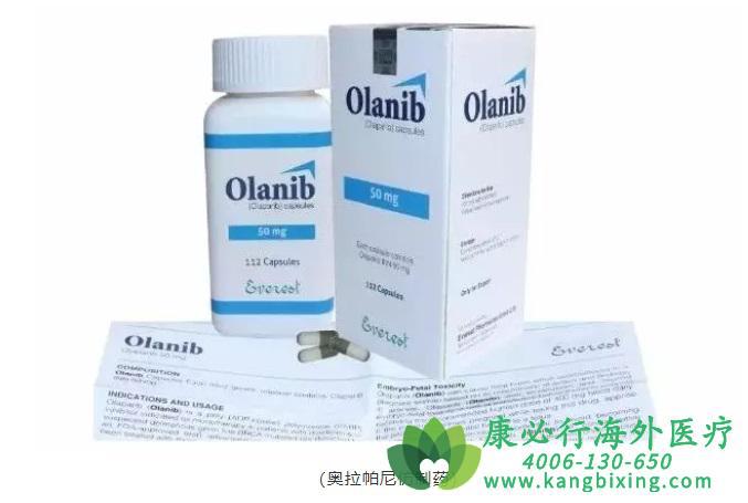 奥拉帕利.jpg 奥拉帕利.jpg