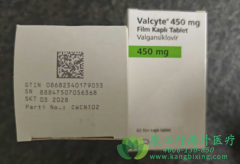 ά/ά(VALCYTE)ΪϸȾ