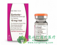 朗妥昔单抗(Zynlonta/Loncastuximab)编织围