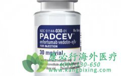 恩诺单抗/维恩妥尤单抗(Padcev/Enfortumab)