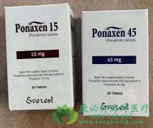 普纳替尼/帕纳替尼(ponatinib)在难治性白血