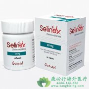 塞利尼索(LuciSelin/Selinexor)核输出蛋白