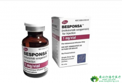 ������/�¼������鵥��(Besponsa)���ܸ���