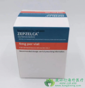 ¬�ȿ���/³�ȿ���(Zepzelca/Lurbinectedin)��RNA�ۺ�øII����ΪСϸ���ΰ��ṩ����������ѡ��