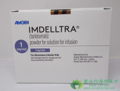 �����׵���(Imdelltra/Tarlatamab/AMG757)��Сϸ���ΰ������е�ͻ����̽��