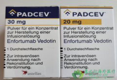 ��ŵ����/ά�����ȵ���(Padcev)ͨ��������ͻ���ʵ�ֶ�����ϸ���ĸ�Чɱ��