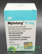 �����鵥��/���׵���(CD33/Mylotarg)������