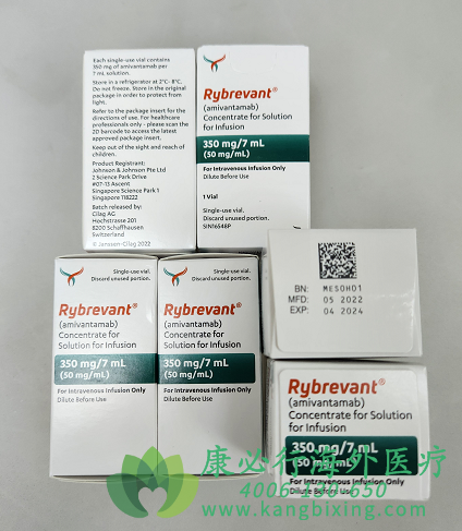 埃万妥单抗.png 埃万妥单抗.png