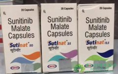 ��������/��̹(sunitinib)����VEGF/PDGFͨ·����ʵ������ֳ��Ѫ������