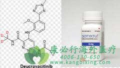 �¿�������(Sotyktu/Deucravacitinib)�乹
