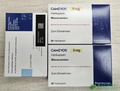 ������/�귥��̩(Camzyos/Mavacamten)�ǹ�