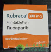 ³������(RUCAPARIB/RUBRACA)����BRCAͻ��