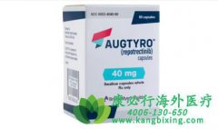 ��������/������(Augtyro/Repotrectinib)