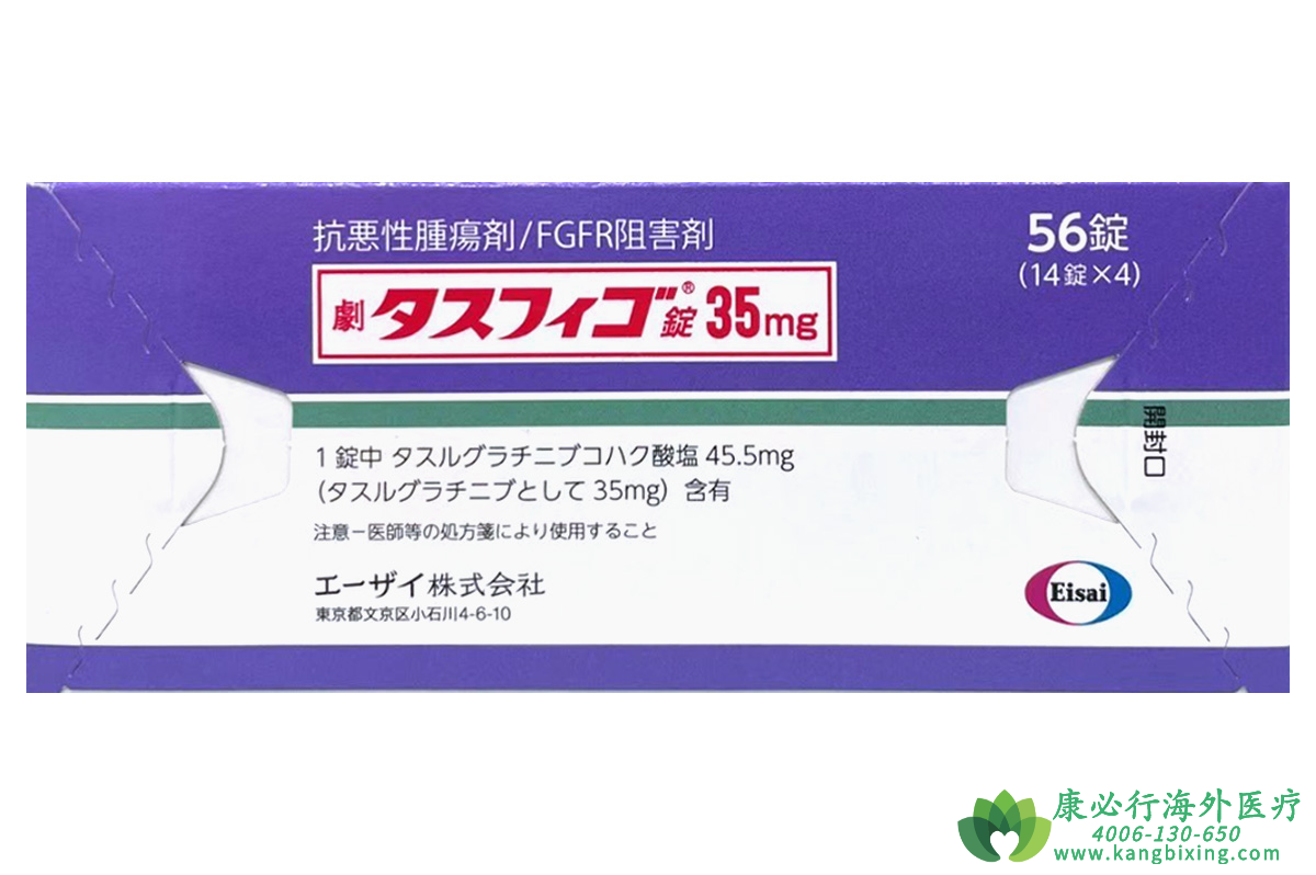 琥珀酸他舒格替尼.png 琥珀酸他舒格替尼.png