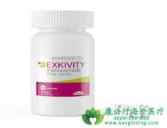 莫博塞替尼/莫博赛替尼(Mobocertinib)验证