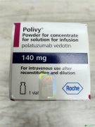 泊洛妥珠单抗(Polivy/Polatuzumab)在初治DL