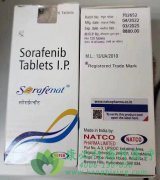 �༪��/��������(Sorafenib)�����ڸ�ϸ����������ȷ���Ķ�е����Ƽ���λ
